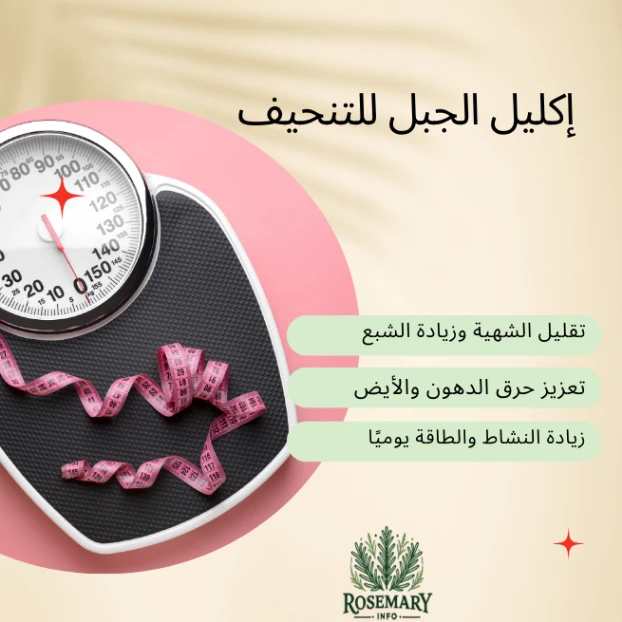 تجارب إكليل الجبل للتنحيف" تظهر ميزان وزن أسود وشريط قياس وردي على خلفية بيج. النص: "إكليل الجبل للتنحيف"، نقاط: "تنظيم الشهية والتخلص من السموم"، "طاقة ونشاط"، "راحة الجهاز الهضمي". شعار "Rosemary Info" أسفل الصورة.
