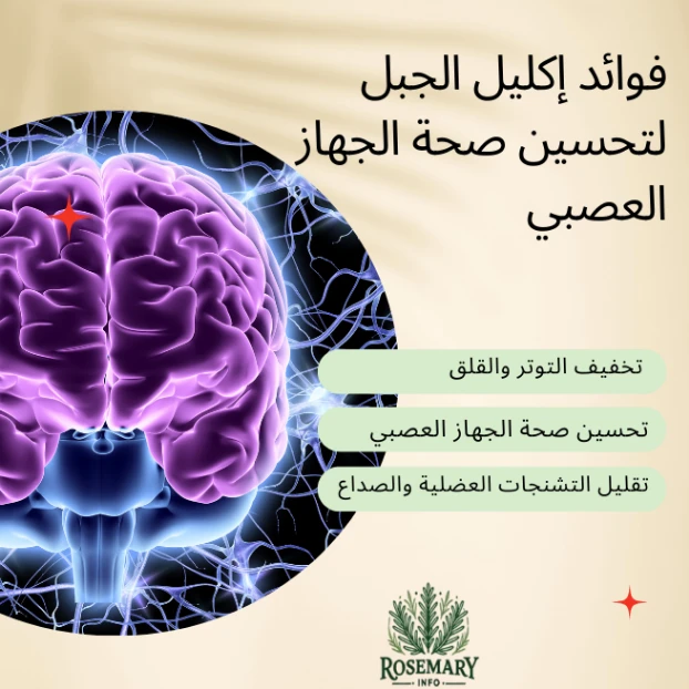 فوائد إكليل الجبل لتحسين صحة الجهاز العصبي وشكل لاعصاب المخ وشعار rosemaryinfo