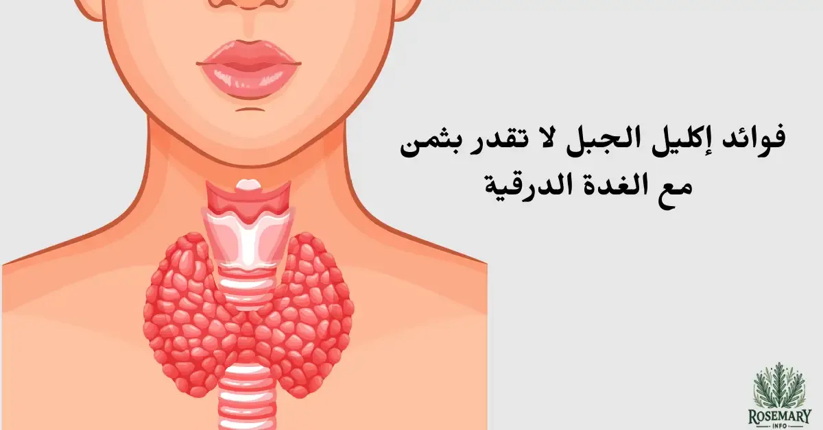 غدة درقية ومكتوب إكليل الجبل والغدة الدرقية