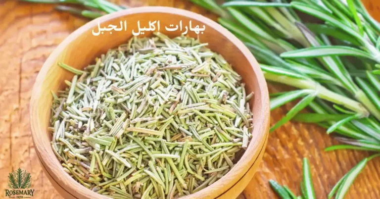 بهارات إكليل الجبل مجففة ونبتة إكليل الجبل خضراء