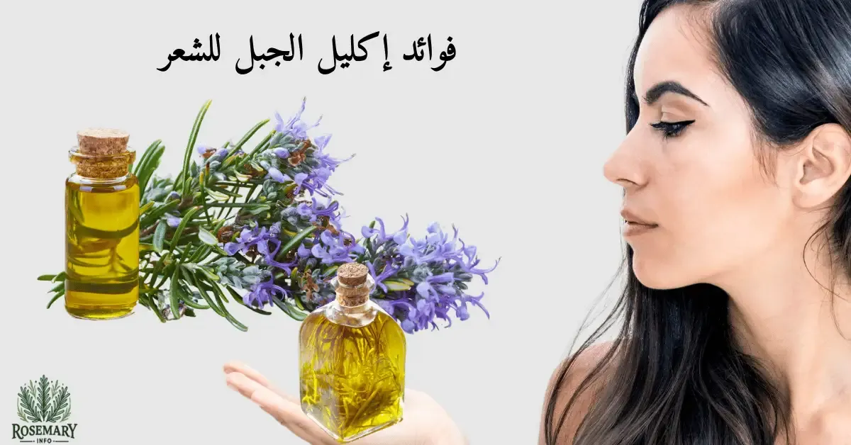 زيت إكليل الجبل وشعر صحي ومكتوب فوائد إكليل الجبل للشعر