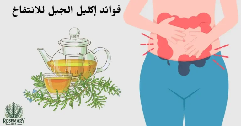 قولون منتفخ وشاي الروزماري ومكتوب فوائد إكليل الجبل للانتفاخ