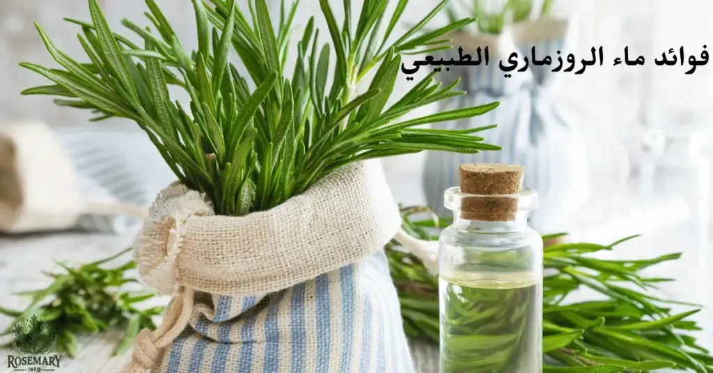 تعرف على فوائد ماء الروزماري الطبيعي للشعر والبشرة