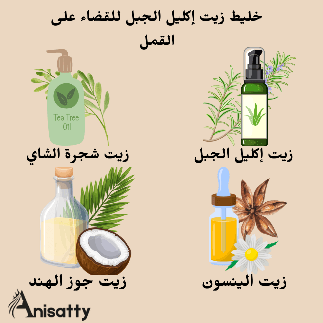 زيت إكليل الجبل وزيت شجرة الشاي وزيت اليانسون وزيت جوز الهند