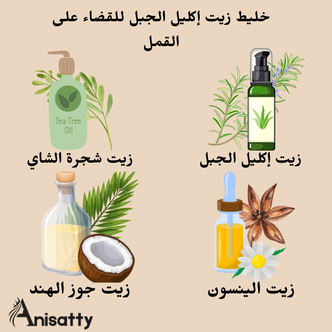 زيت إكليل الجبل وزيت شجرة الشاي وزيت اليانسون وزيت جوز الهند