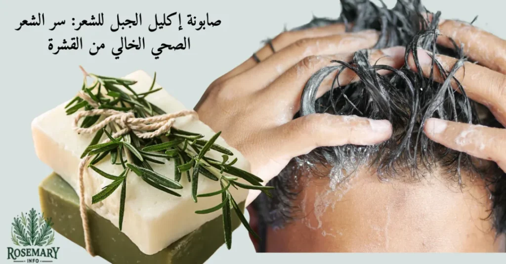 صابونة إكليل الجبل للشعر – سرك لشعر لصحي خالي من القشرة