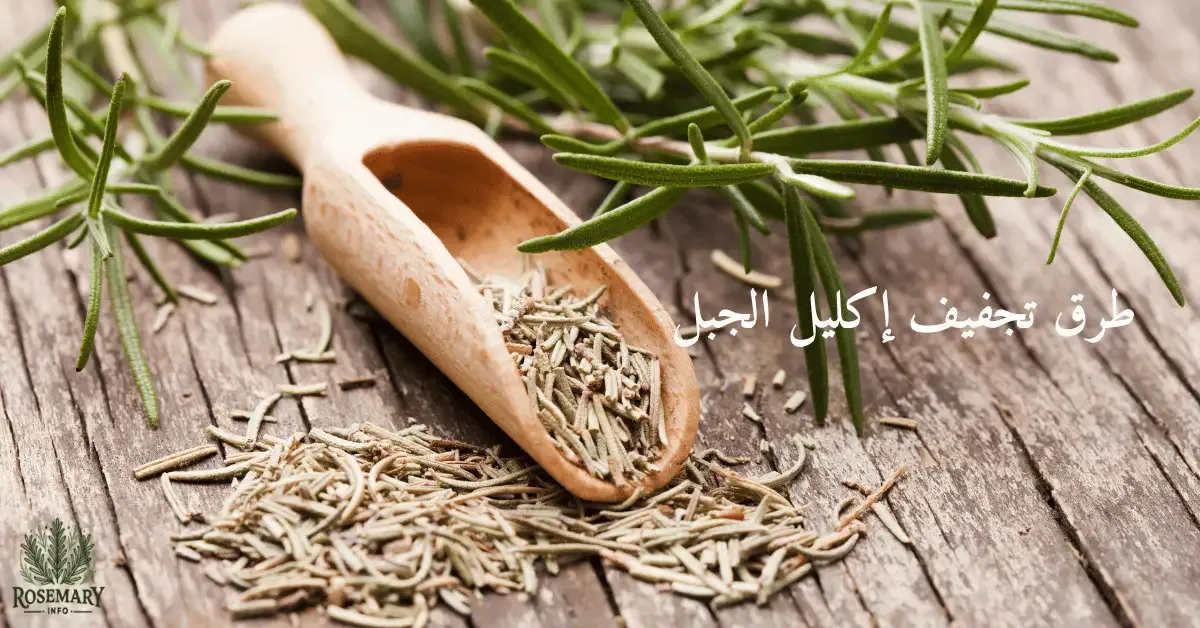 إكليل جبل مجفف ومكتوب طرق تجفيف إكليل الجبل
