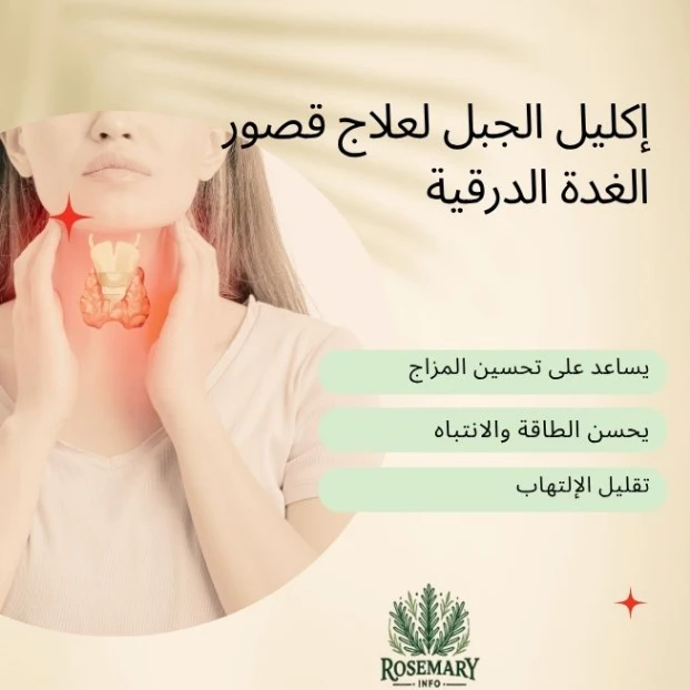 إكليل لجبل لعلاج قصور الغدة الدرقية وامرأة تلمس مكان الغدة الدرقية وشعار rosemaryinfo
