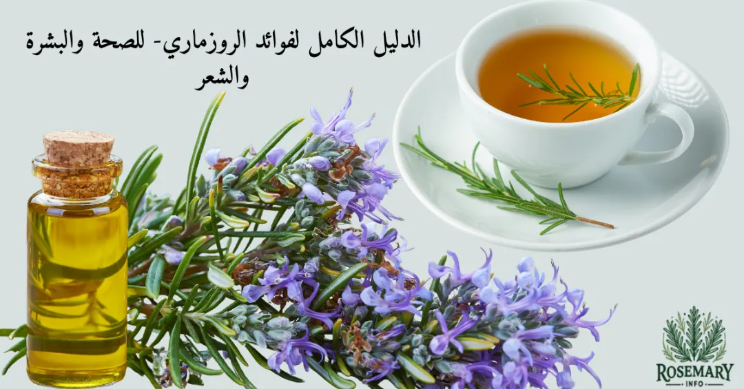 زيت الروزماري وزهرة الروزماري وشاي الروزماري ومكتوب الدليل الكامل لفوائد الروزماري- للصحة والبشرة والشعر