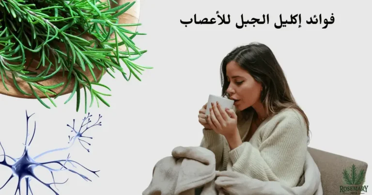 فوائد إكليل الجبل للأعصاب، تظهر امرأة تشرب شاي إكليل الجبل مكتوب : "إكليل الجبل للأعصاب"، نقاط: "تهدئة التوتر والقلق"، "تحسين المزاج"، "دعم الذاكرة". شعار "Rosemary Info" أسفل الصورة.