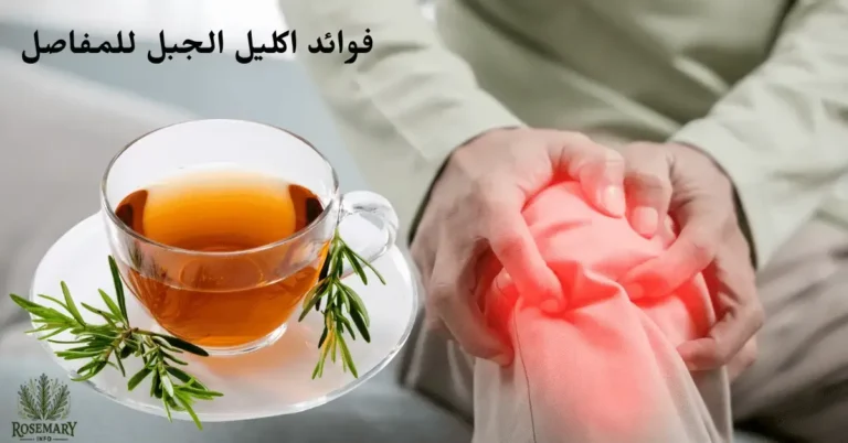 مفصل ركبة ملتهب و كوب شاي إكليل الجبل ومكتوب فوائد إكليل الجبل للمفاصل