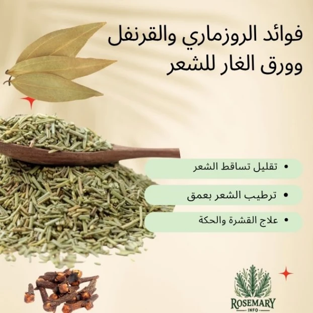 أعشاب الروزماري والقرنفل وورق الغار مكتوب "تقليل تساقط الشعر، ترطيب الشعر بعمق، علاج القشرة والحكة". شعار Rosemary Info أسفل الصورة.