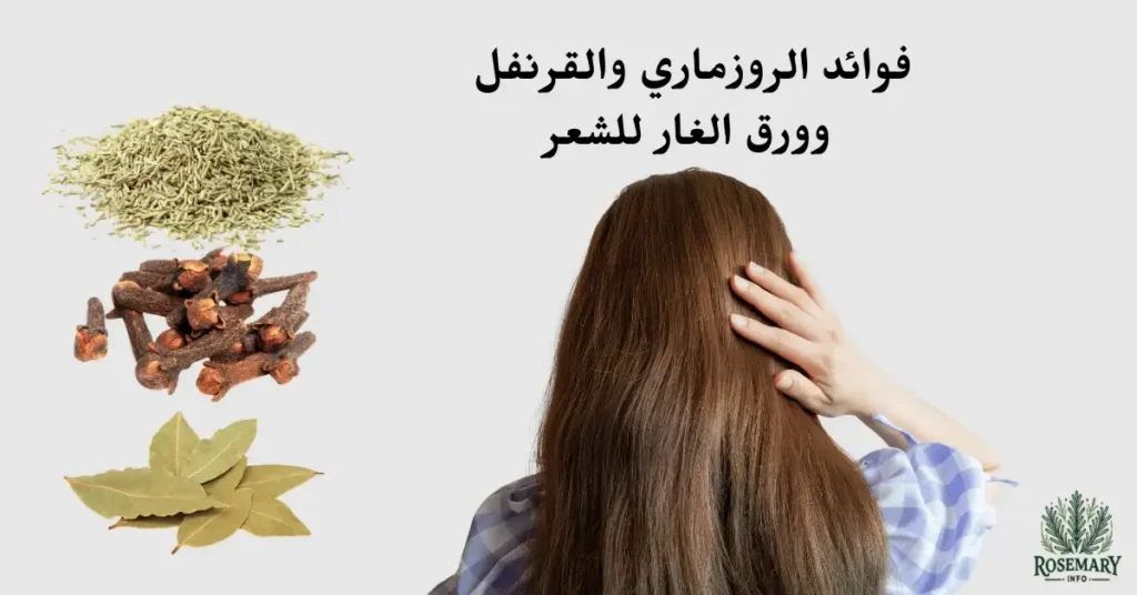 فوائد الروزماري والقرنفل وورق الغار لشعر كثيف وصحي