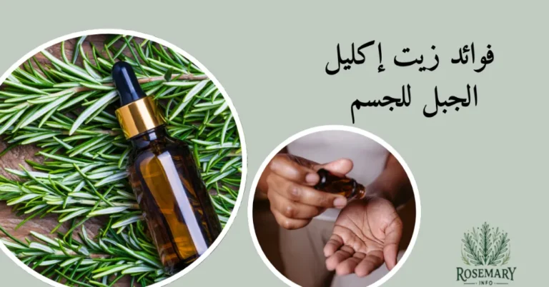 إكليل الجبل أخضر وزيت إكليل الجبل وزيت إكليل الجبل في راحة اليد ومكتوب فوائد زيت إكليل الجبل للجسم