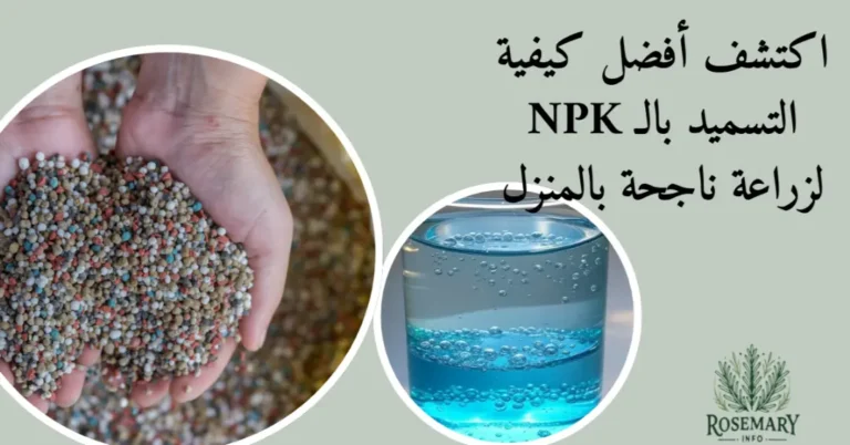 ل كيفية التسميد بالـ NPK لزراعة ناجحة بالمنزل